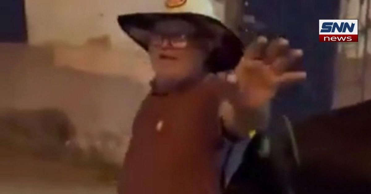 Brazilian Ox Guides Drunken Owner Safely Home