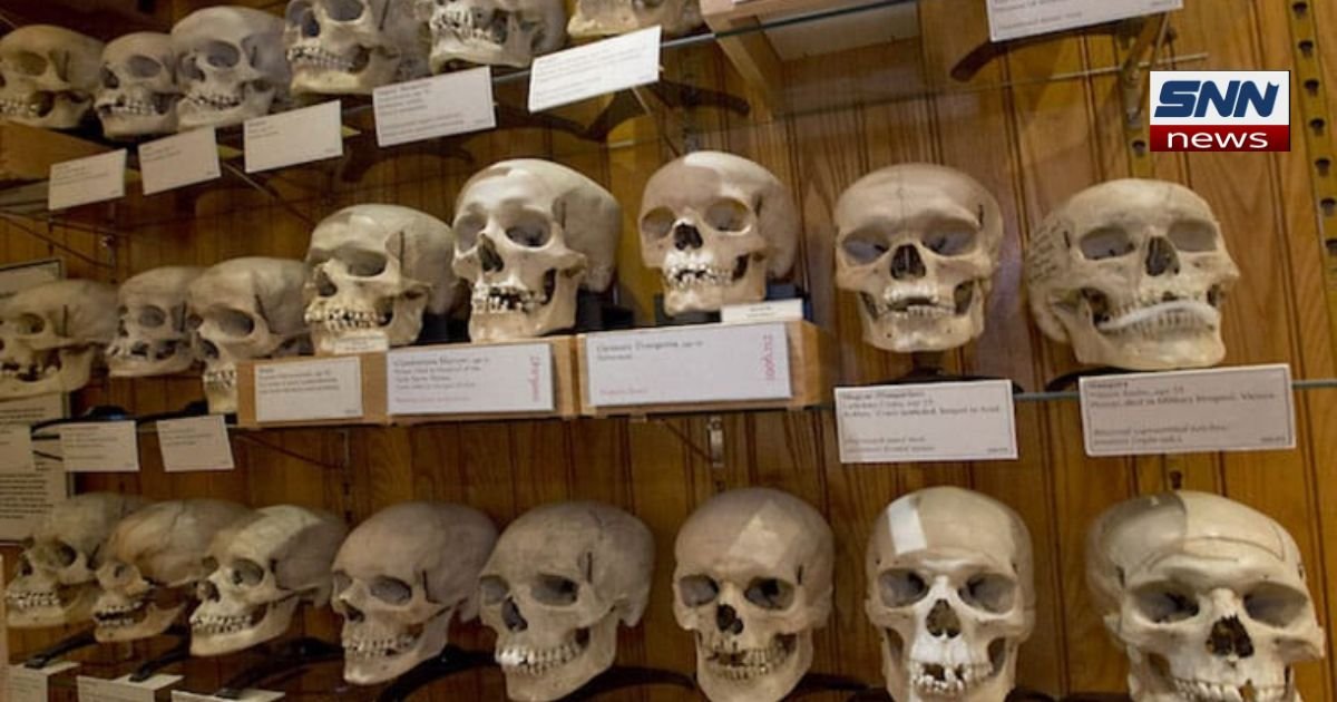 France Returns Skulls to Madagascar After 128 Years