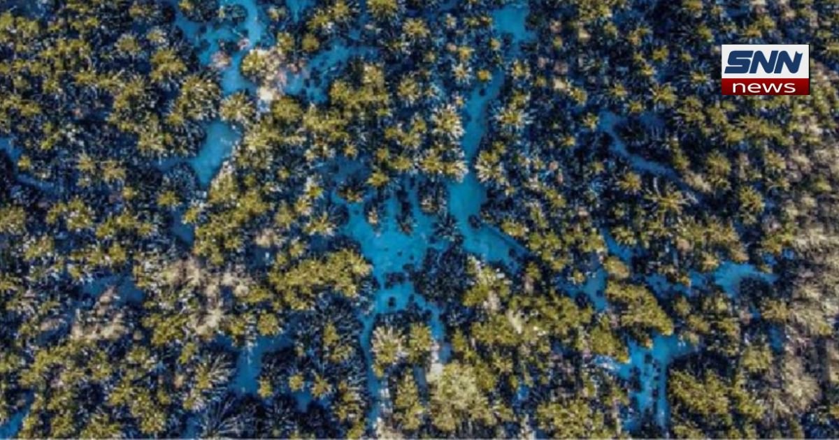 finland-targets-drone-leadership-by-2030