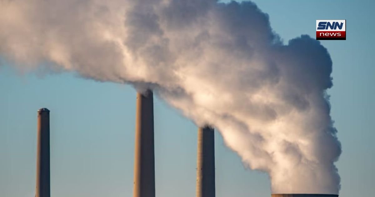 Global Coal Use Reaches Record High in 2024