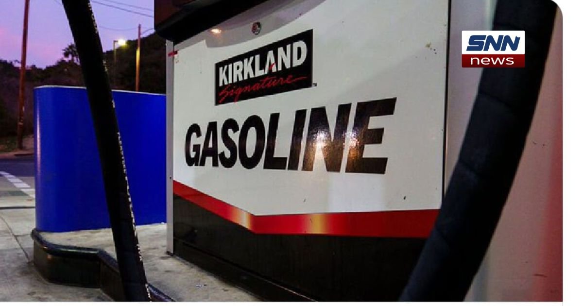 Gasoline Car Decline Overstated as Fuel Use Hits Records