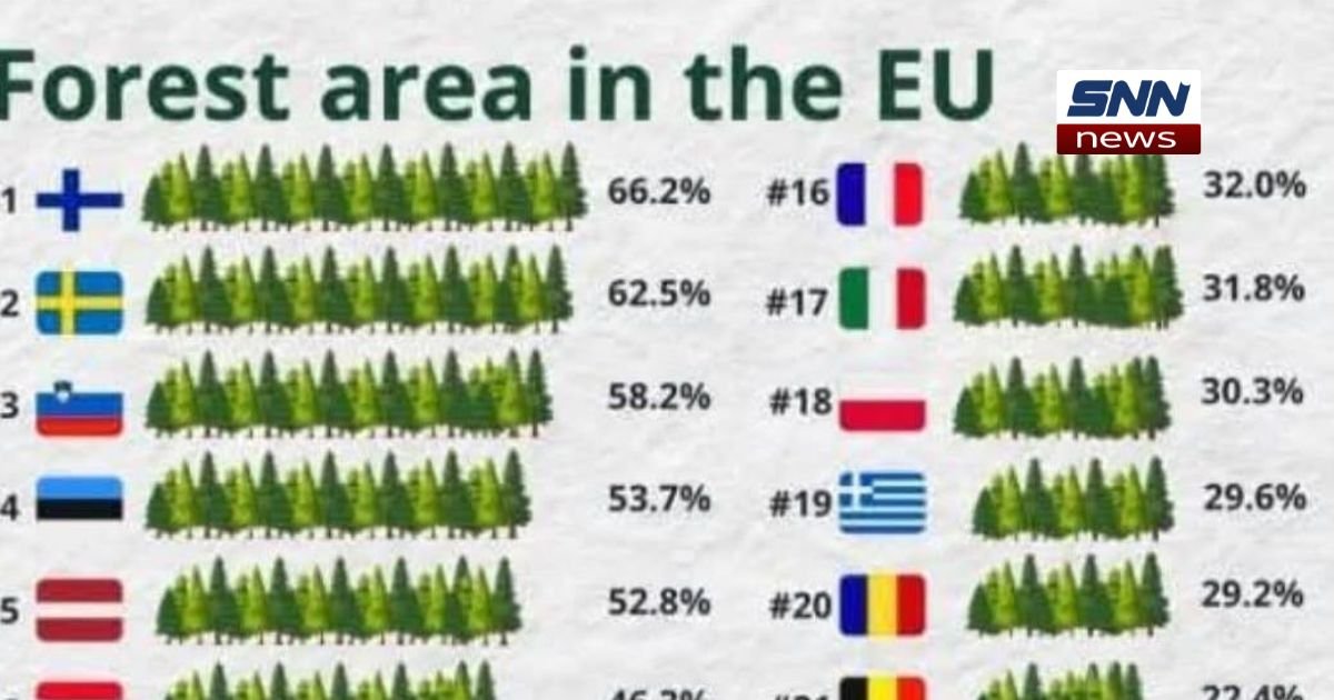 Finland Leads EU in Expanding Forest Coverage