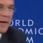 Finland Outpaces Netherlands in Defense Spending and Power