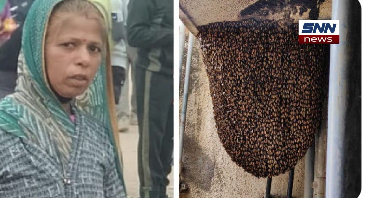 “Anganwadi worker Kanchan Bai Meghwal shielding children during a bee attack in Neemuch, Madhya Pradesh, showcasing bravery and selflessness.”
