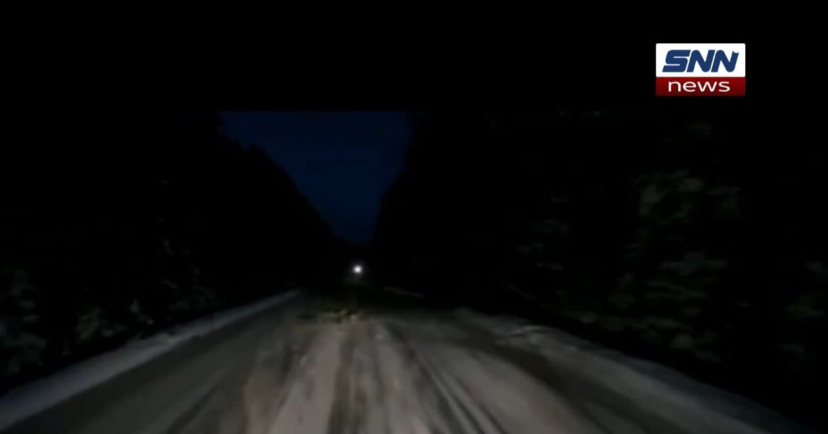 "Minibus on a Belarus highway after crashing into a fallen tree at night, with emergency responders assisting injured passengers."