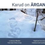 Brown bear walking through a forest in Estonia after winter hibernation as authorities warn residents to stay cautious in wildlife areas.