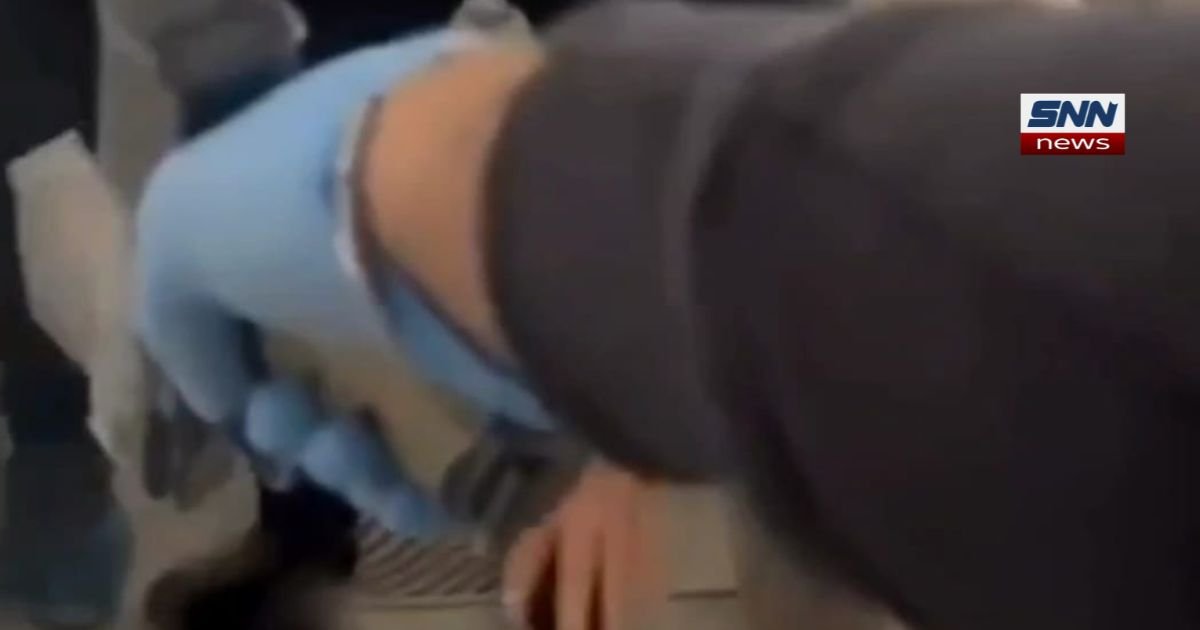 Turkey man reportedly found hiding underground for 11 years in Van